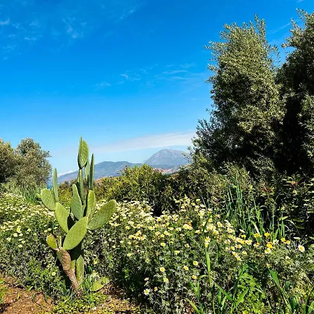 Taf - Kreta Kamilari
